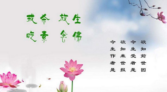 残忍杀龟，报应惨烈