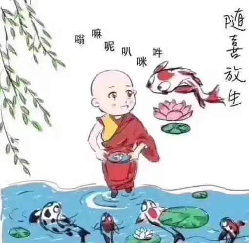 吴大姐如此行放生，你 我能做到吗？-图片1