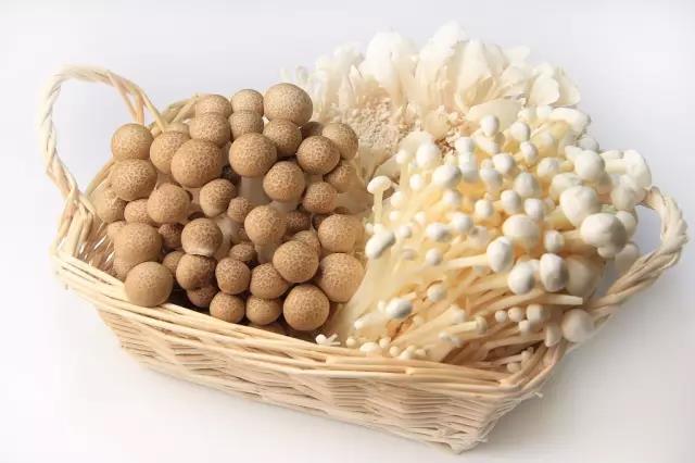 它是“人体脑黄金”，增强记忆力，不吃太可惜！