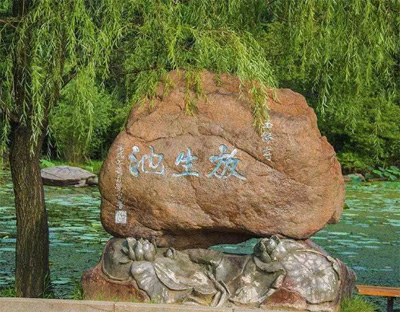 古代经典放生故事四则（二）-图片3