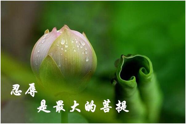 对境来时，忍辱便是修行-图片1