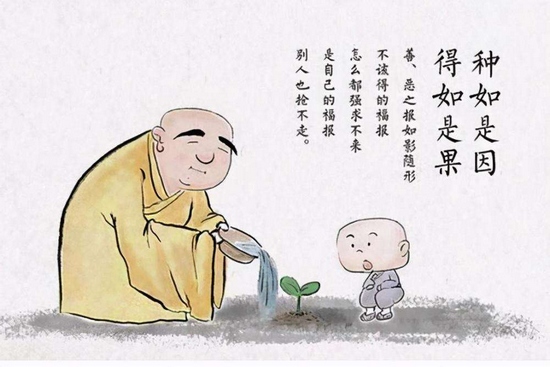 明信因果自不会被命理运气误导