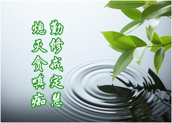 对境来时，忍辱便是修行-图片2