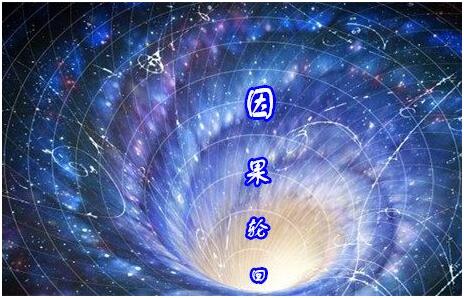 从蜘蛛网到“因果网”联想，我们的心被什么“网”住了？-图片1