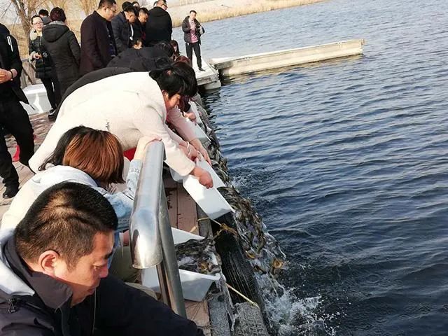 四种省时省力高效率的放生方法，你常用哪种？-图片1