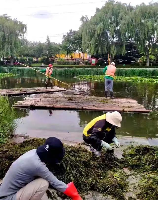 不可思议 救生获奇迹