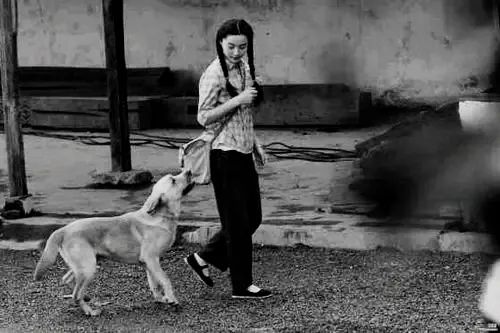 真实故事：她曾救狗一命，危难时忠犬舍命救她-图片2