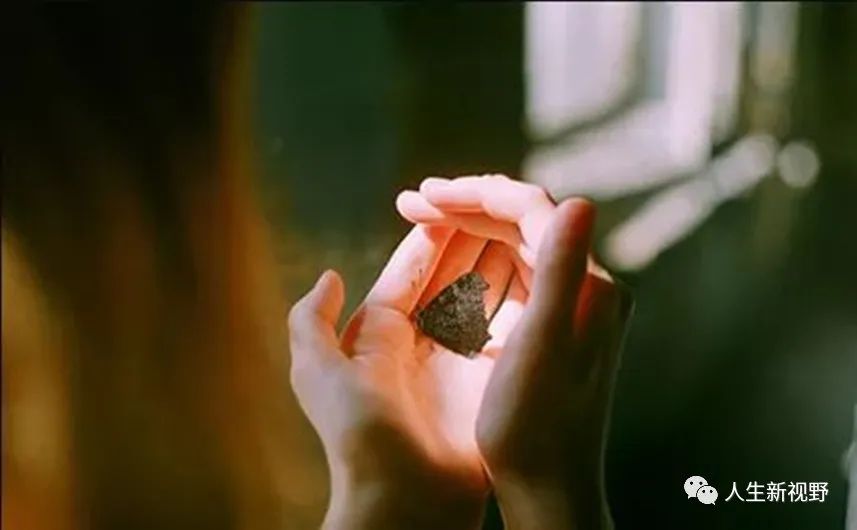 我与蛐蛐相遇，再见之后，就真的再也不见