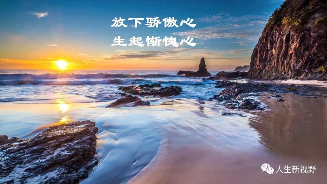 “越是成熟的稻穗，越懂得弯腰”背后的深意，值得入心