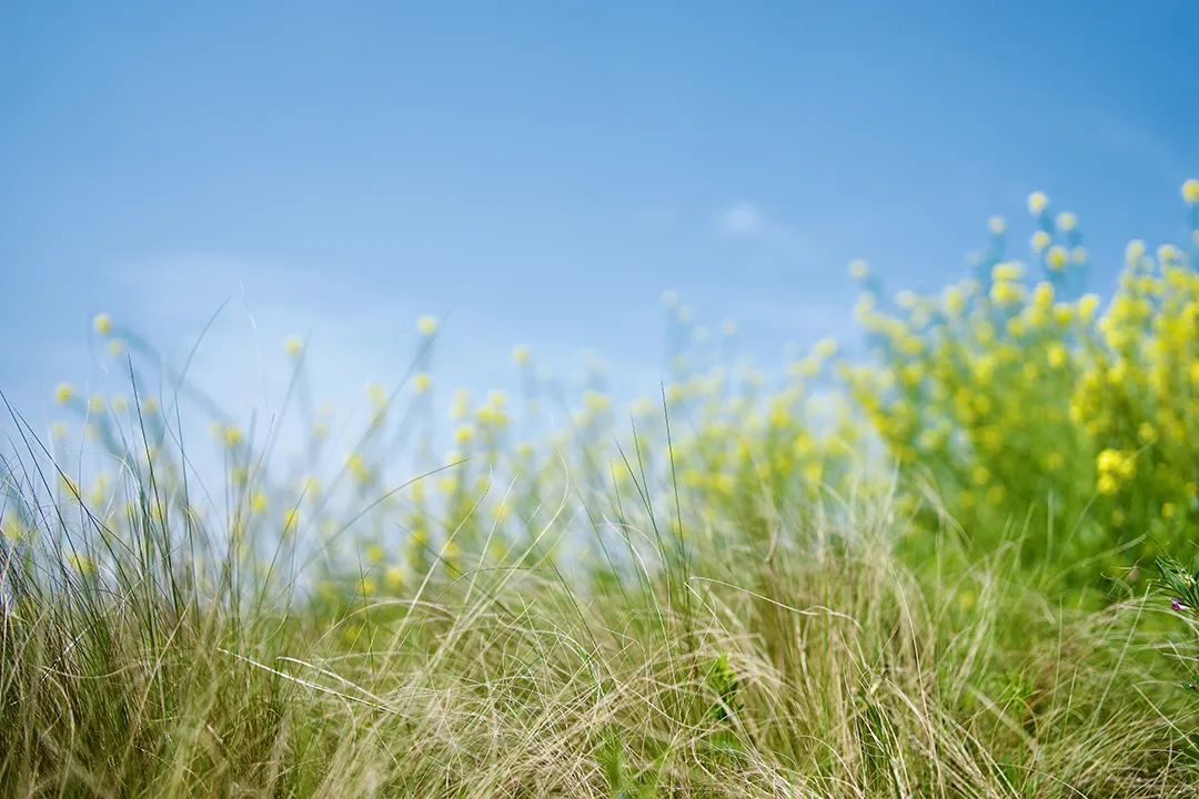 她在“朋友圈”里说我，引发了我要说的话