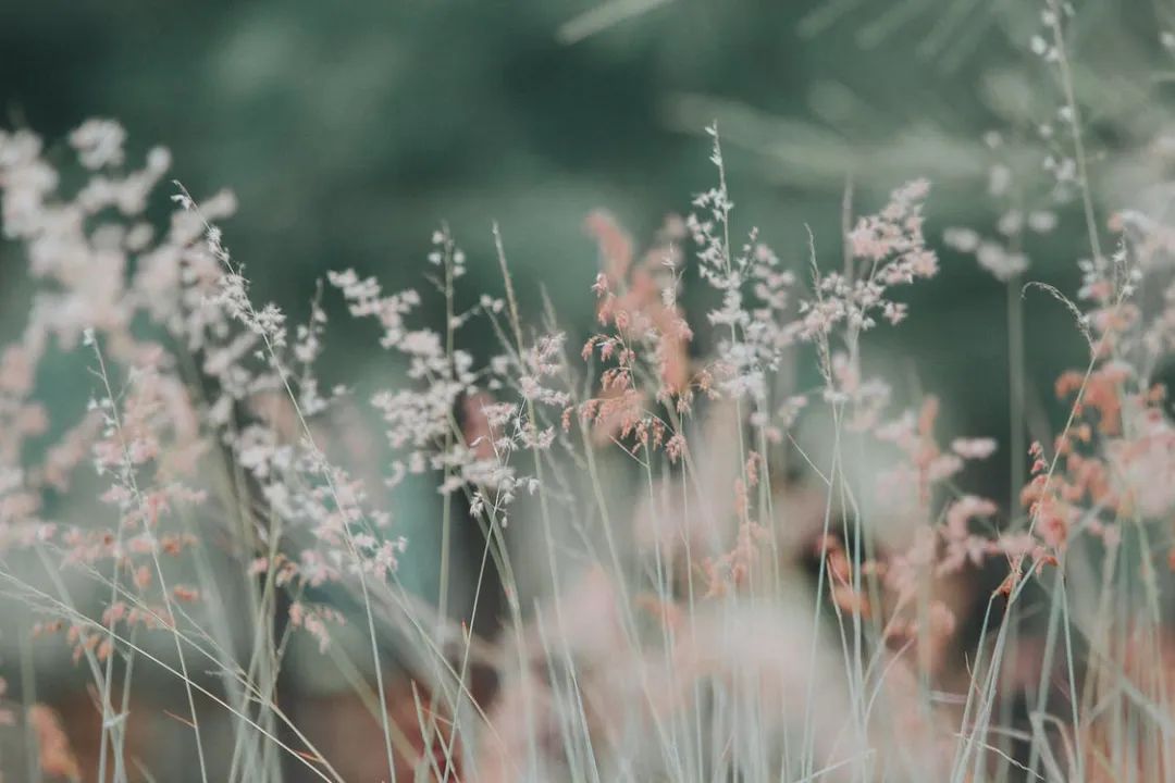 【二郎传说】连载之一：穷子得仙助，瞋心惹天怒