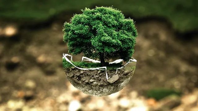 因种无论好坏，未来的酬报都会增至好多倍