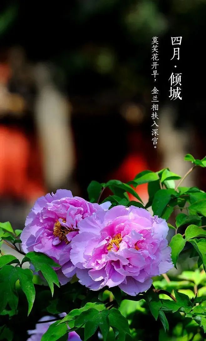 无欲知足，才是真正富有且快乐的人