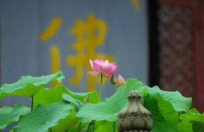 心出家才是真正的出家