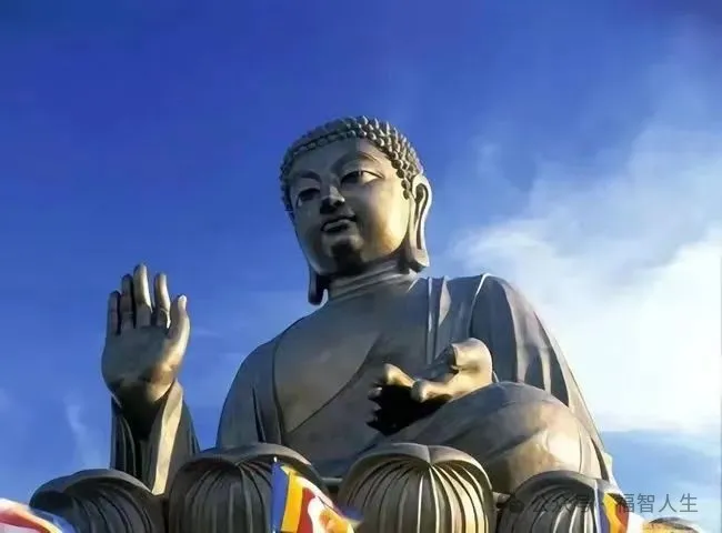 佛陀回答:人来世间到底是干什么的?你一定要懂