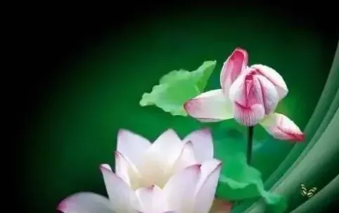 家人不学佛，你有用自己的修持去感召吗？