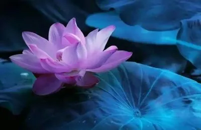 扔掉抱怨的包袱，我活出了人生真味