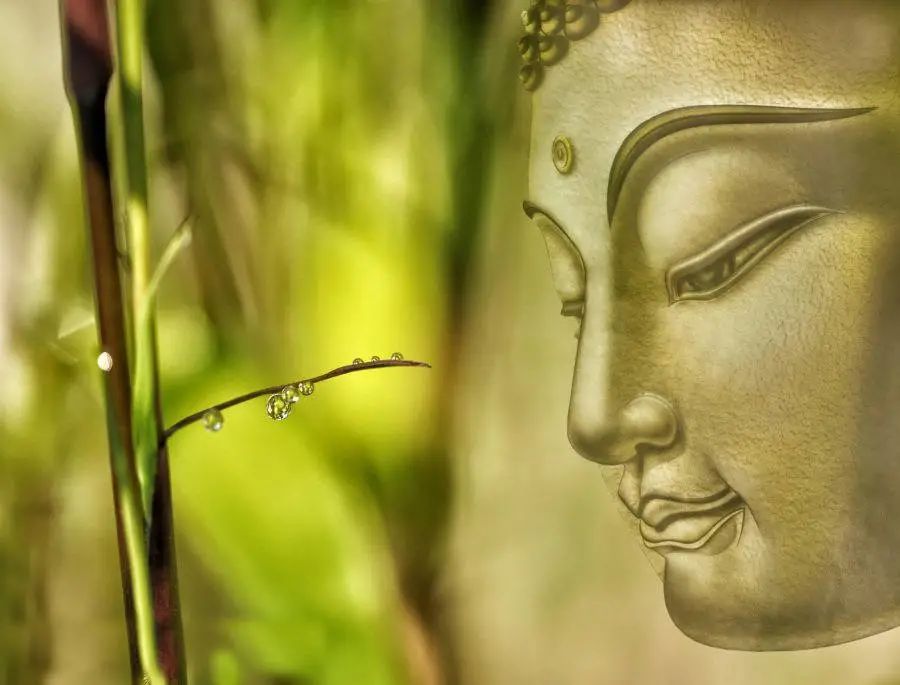 观世音菩萨成道日那天，我蛮横不讲理了，我错在哪里？