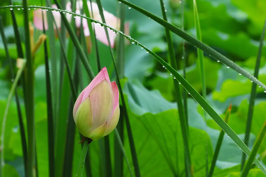 一块钱的“智慧”：悟透与悟不透大不一样