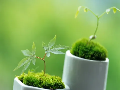 感恩儿时的苦难