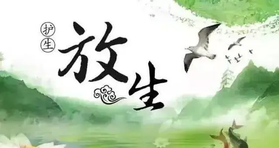 您也是放生多年却没有转运吗？四条自省找原因