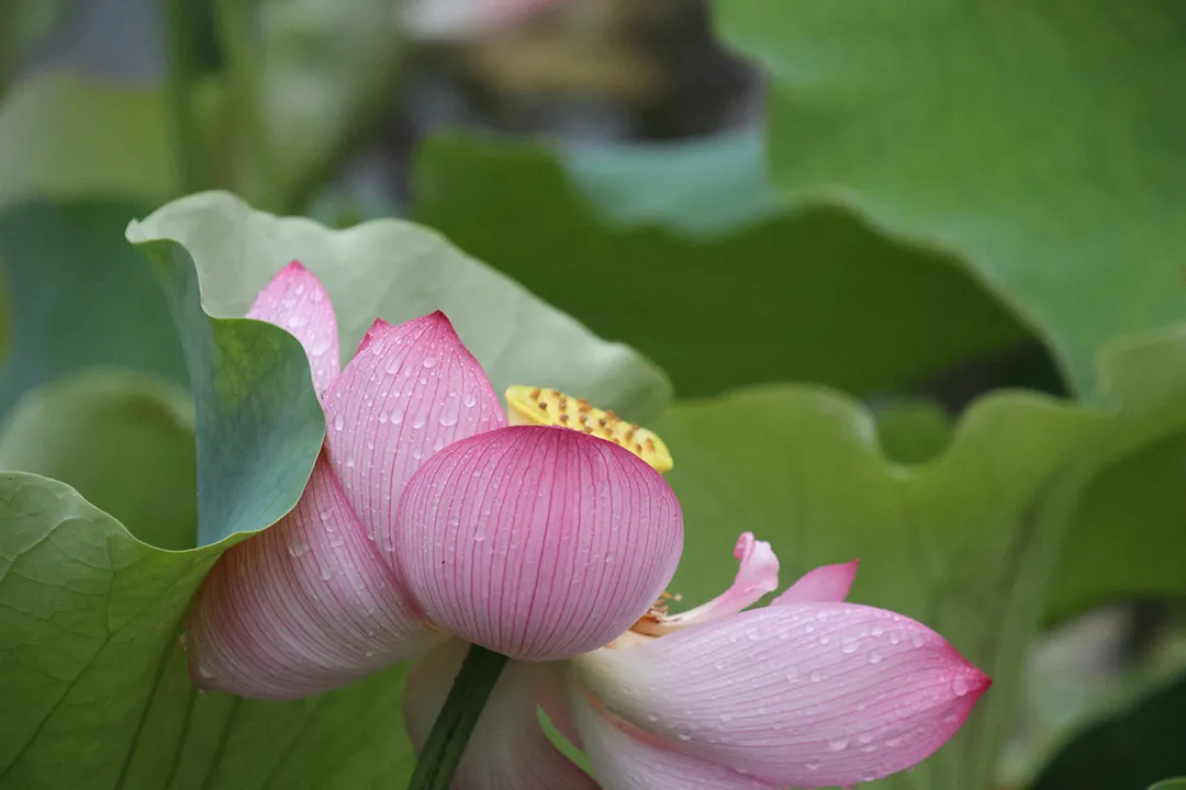 意外之财可以随便花吗？